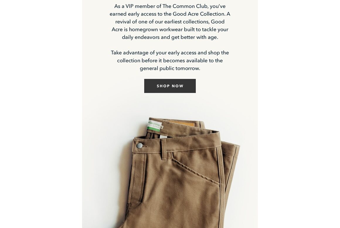 Ideas for High-Converting Email Newsletters
